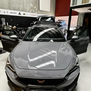 Seat Cupra fy23 beats