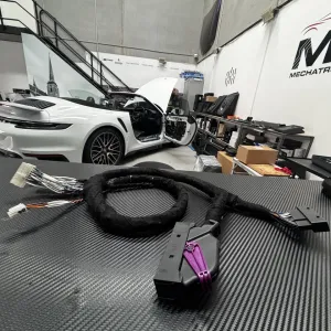 Porsche 911 harness