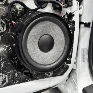 Focal P60 Limited Edition