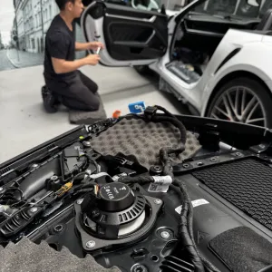 Focal P60 Limited Edition